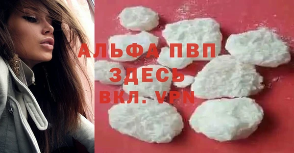 гидра Арсеньев