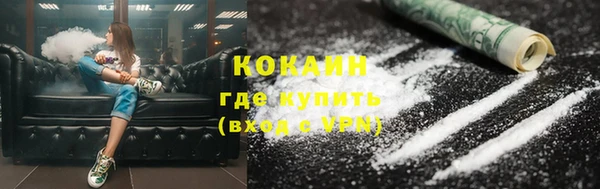 дживик Долгопрудный