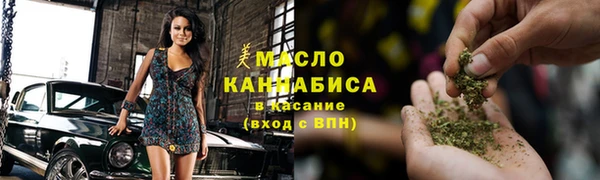 гидра Арсеньев