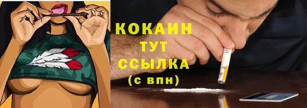 гидра Арсеньев