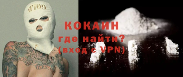 гидра Арсеньев