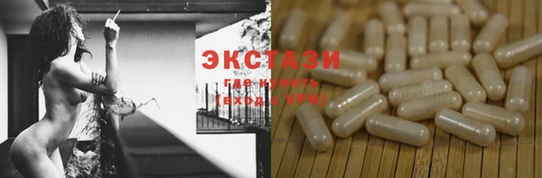 гидра Арсеньев