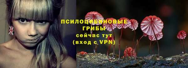 гидра Арсеньев
