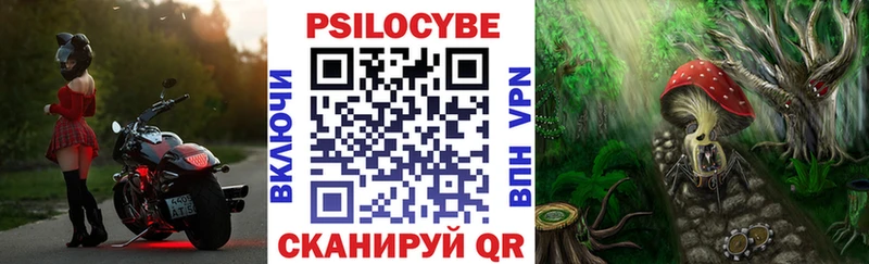 закладки  Ахтубинск  Псилоцибиновые грибы мухоморы 