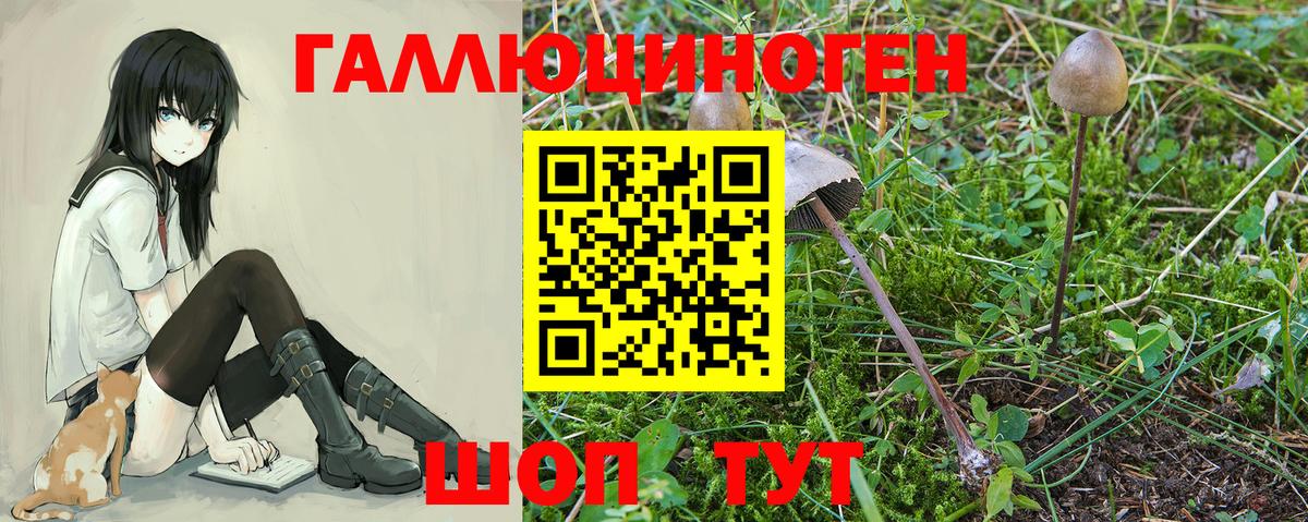 Галлюциногенные грибы мицелий  Вход с VPN  Ахтубинск  Псилоцибиновые грибы мухоморы 
