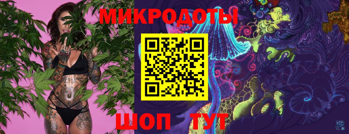 Галлюциногенные грибы Psilocybe Ахтубинск