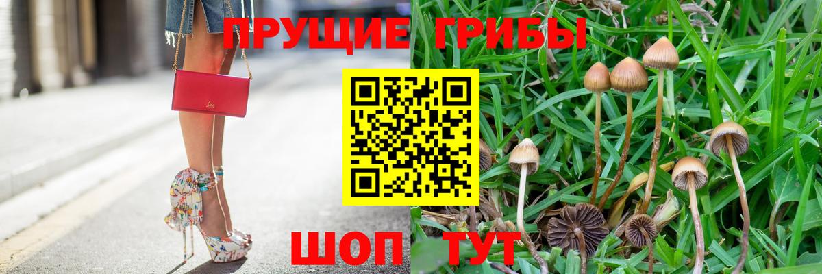 Галлюциногенные грибы MAGIC MUSHROOMS Ахтубинск